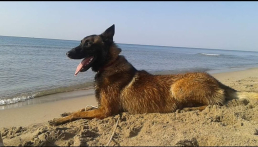 I Due Trulli - Puglia - pensionecanibari