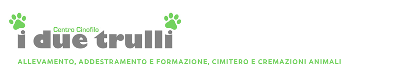 I Due Trulli - Puglia